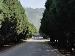 -秦始皇帝陵博物院-丽山园