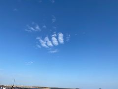 -鹦鹉洲湿地公园
