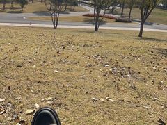 -盘龙城国家考古遗址公园