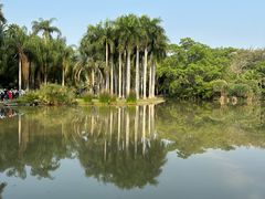 -中国科学院西双版纳热带植物园