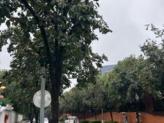 -唐城墙遗址公园