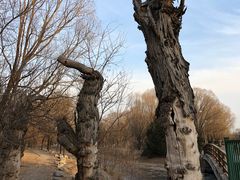 -奥林匹克森林公园北园-停车场