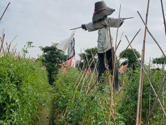 -新塘水果乐园(东洲大道店)