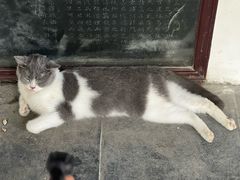-西园寺素食(西园弄戒幢律寺店)
