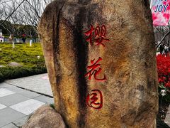 -高东镇樱花园