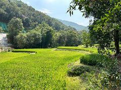 -世间香境·七溪地