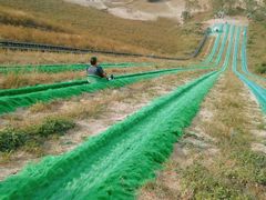 -古柏渡飞黄旅游区