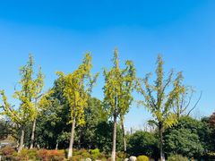 -白塘生态植物园