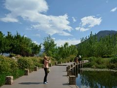 android_upload_pic-西昌邛海湿地