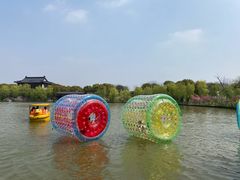 -南汇桃花村