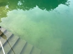 -广州市流溪河国家森林公园