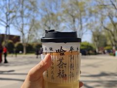 -中山公园