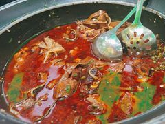 -青花椒花椒鱼(合生汇店)