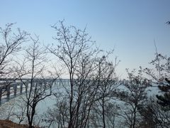 -星海湾跨海大桥