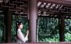 -YISHU一树影像工作室(惠城店)