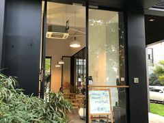 -猫里有甜