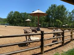 -大连森林动物园