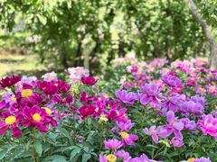 -河间府署