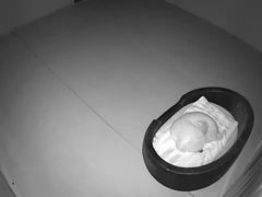 -宠物寄养训练学校