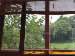 -野蔓果·山野菜(西湖景区·龙井茶田店)