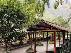 -宁波五龙潭景区