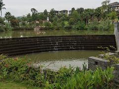 -枫香湖儿童公园