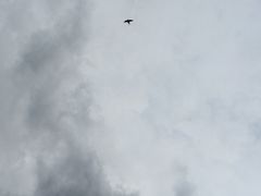 iphone_upload_pic-雁滩公园
