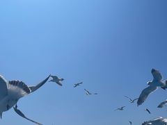 -海驴岛(荣成市)