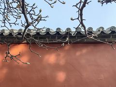 -泰山风景名胜区-普照寺