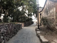 -巢湖姥山岛