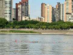 -武汉关码头(轮渡站)