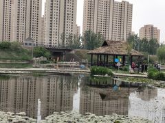 -前关湿地公园