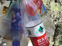 -鹫峰国家森林公园