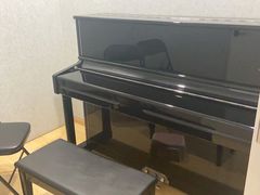 -珠江钢琴艺术中心(文一路店)