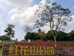 -红花山公园