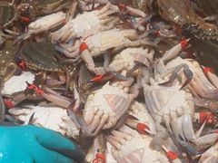 -一方渔歌蒸汽海鲜自助(文化路万达广场店)