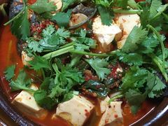 砂锅弓鱼-苍洱春饭店