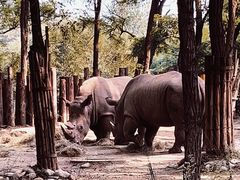 -北京野生动物园