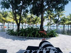-富国岛翡翠湾 JW 万豪度假酒店