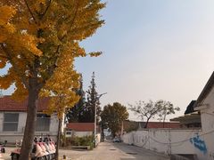 -养马岛旅游度假区