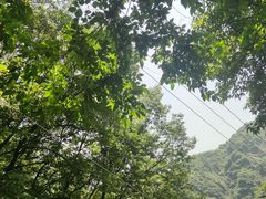 -秦岭风景区
