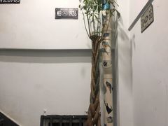 -三猫黑鱼花(南大店)