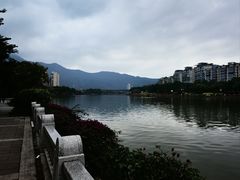 -光明港公园