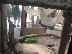 -白洋淀景区