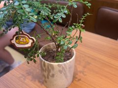 -CURRY YA 熟成咖哩專門店(深圳湾万象城店)