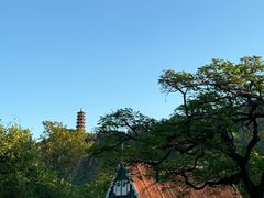 -南沙蒲洲花园