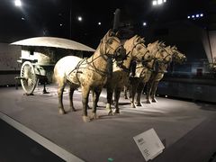 -秦始皇帝陵博物院-丽山园