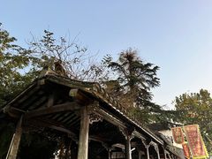 -小草屋轰趴馆别墅派对新场团建家庭聚会