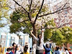 -上海松江区迪笙幼儿园