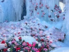 -洛阳白云山景区